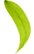 hojita_5